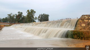 Figure 13: "Nature in the city of Mosul", Nineveh Province Media Office, 21 January 2016.