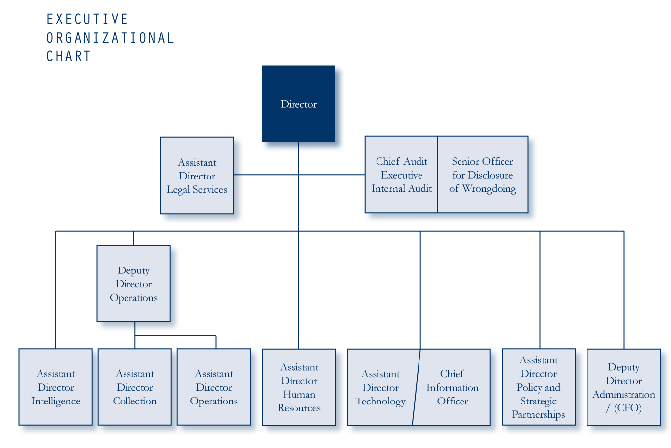 CSIS Organizational Chart