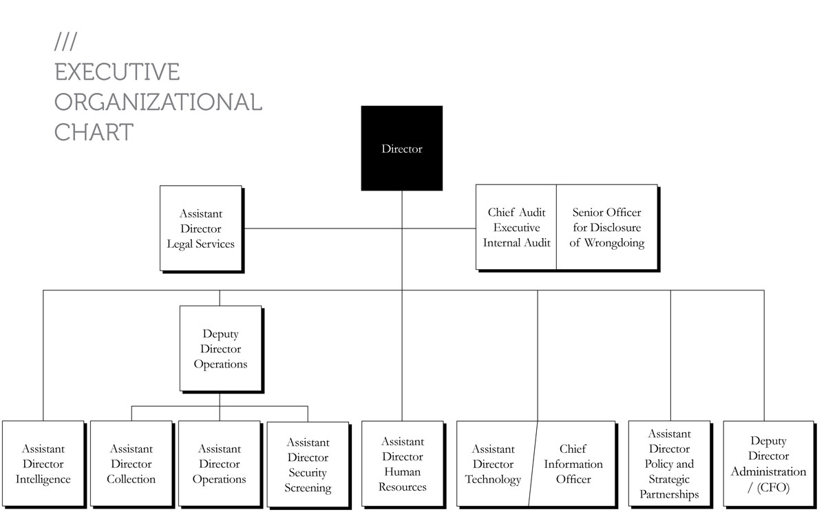 CSIS Organizational Chart