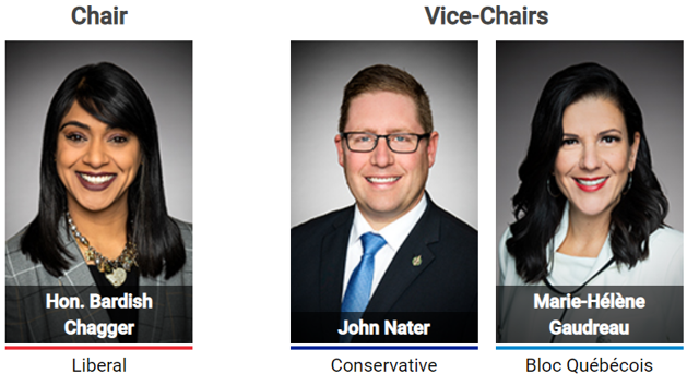 Chair and vice-chairs