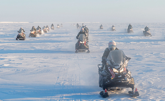 A large group of snowmobiles travel across a snow-covered field.