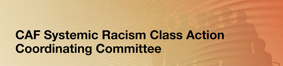 Canadian Armed Forces Systemic Racism Class Action Coordinating Committee - Expression of interest