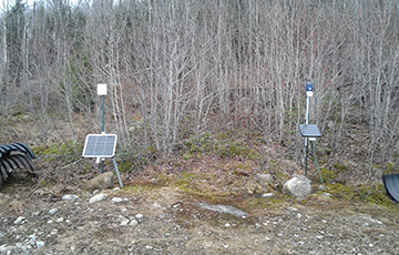 Panels installed in a forest at ground level.