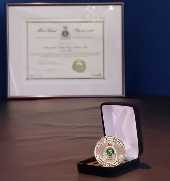 Prix du mérite du dirigeant principal des finances