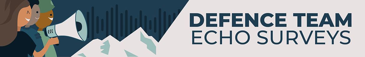 Ddefence Team Echo Surveys