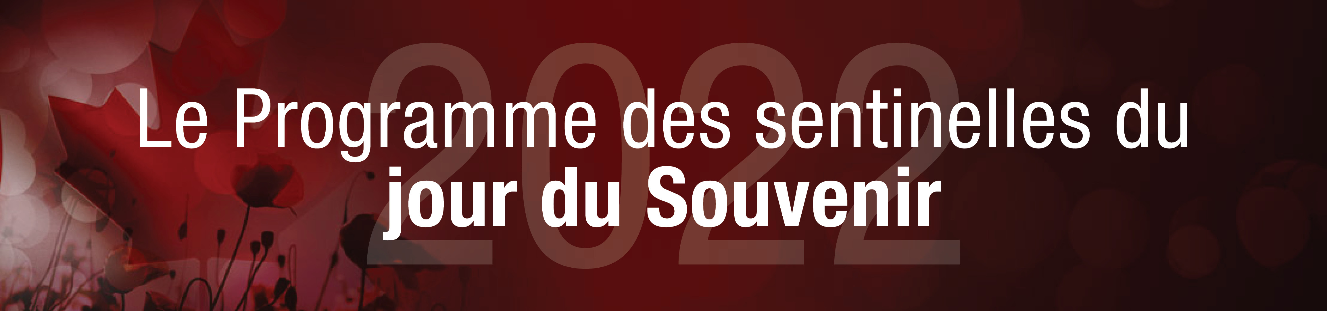 Programme des sentinelles du jour du Souvenir