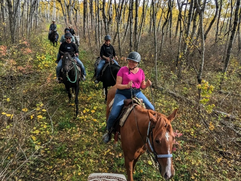 Five people on horseback ride along a forest trail surrounded by autumn trees, participating in a wellness retreat.