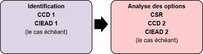 Figure 3. Étapes du processus d'établissement des exigences préliminaires