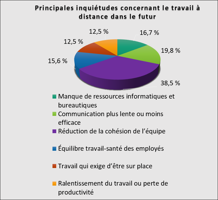 Figure 19. Principales inquiétudes concernant le travail à distance dans le futur