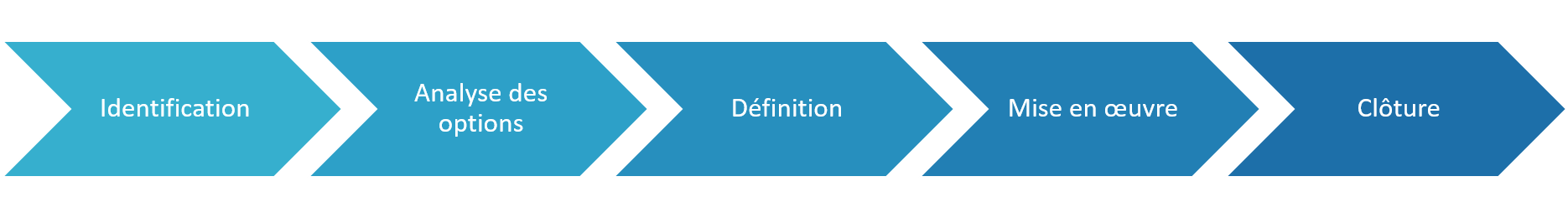 Figure 1. Processus d’approbation et phases du cycle de vie du projet 