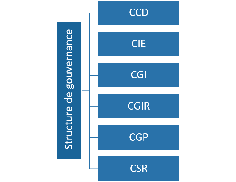 Figure 6. Structure de gouvernance des projets du MDN et des FAC 
