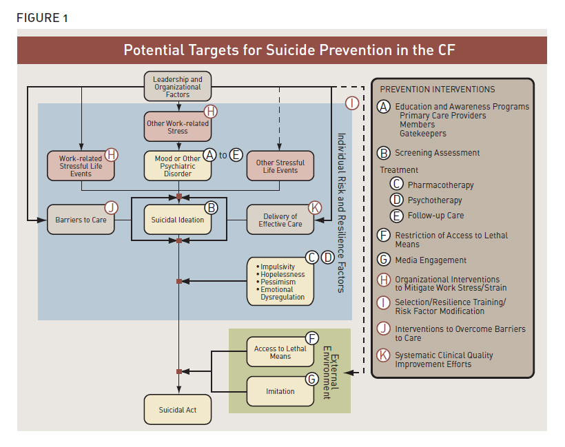 Potential Targets for Suicide Prevention in the CF (Description follows)