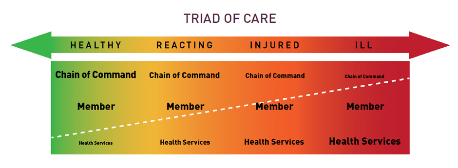 Triad of Care. Description follows.
