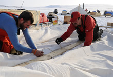 Baring Bay, Nunavut, 19 April 2012 – Canadian Armed Forces search and rescue technician, Sergeant Morgan Boutilier, and Ranger Corporal Mod Casaway, from Lutselke, Northwest Territories, take down their prospector tent in preparation for the next leg of their patrol near Baring Bay, Nunavut, during Operation NUNALIVUT 2012. (photo by: Sergeant Matthew McGregor, Canadian Forces Combat Camera)