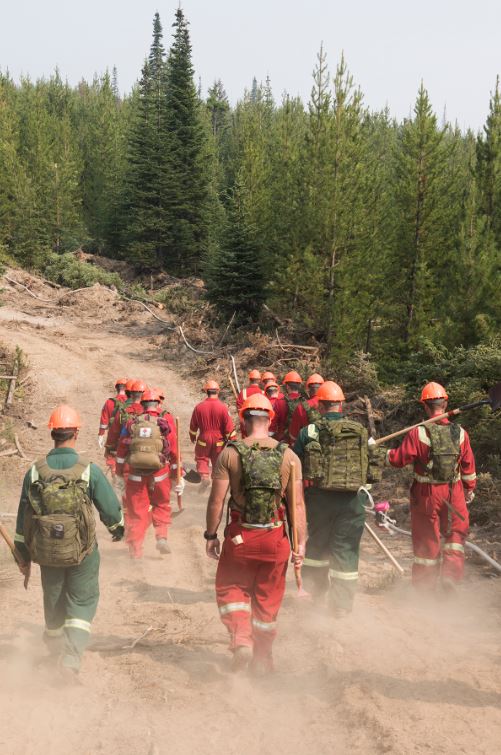 Near Kelowna, BC. August 19, 2018 – Soldiers from numerous reserve force units throughout British Columbia conduct fire suppression duties though an area affected by wildfire, and verify that the area is safe from further flare ups during Operation LENTUS 18-05. (Photo: MCpl Gerald Cormier, 3rd Cdn Div Public Affairs)