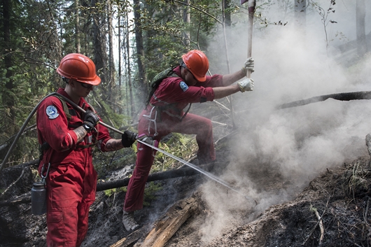 British Columbia. August 23, 2018 - Soldiers from 1st Battalion, Princess Patricia’s Canadian Light Infantry and 39 Canadian Brigade Group search for and extinguish hot spots and burning material in a fire affected area near Lumby, British Columbia during Operation LENTUS. (Photo: MCpl Gerald Cormier, 3rd Cdn Div Public Affairs)