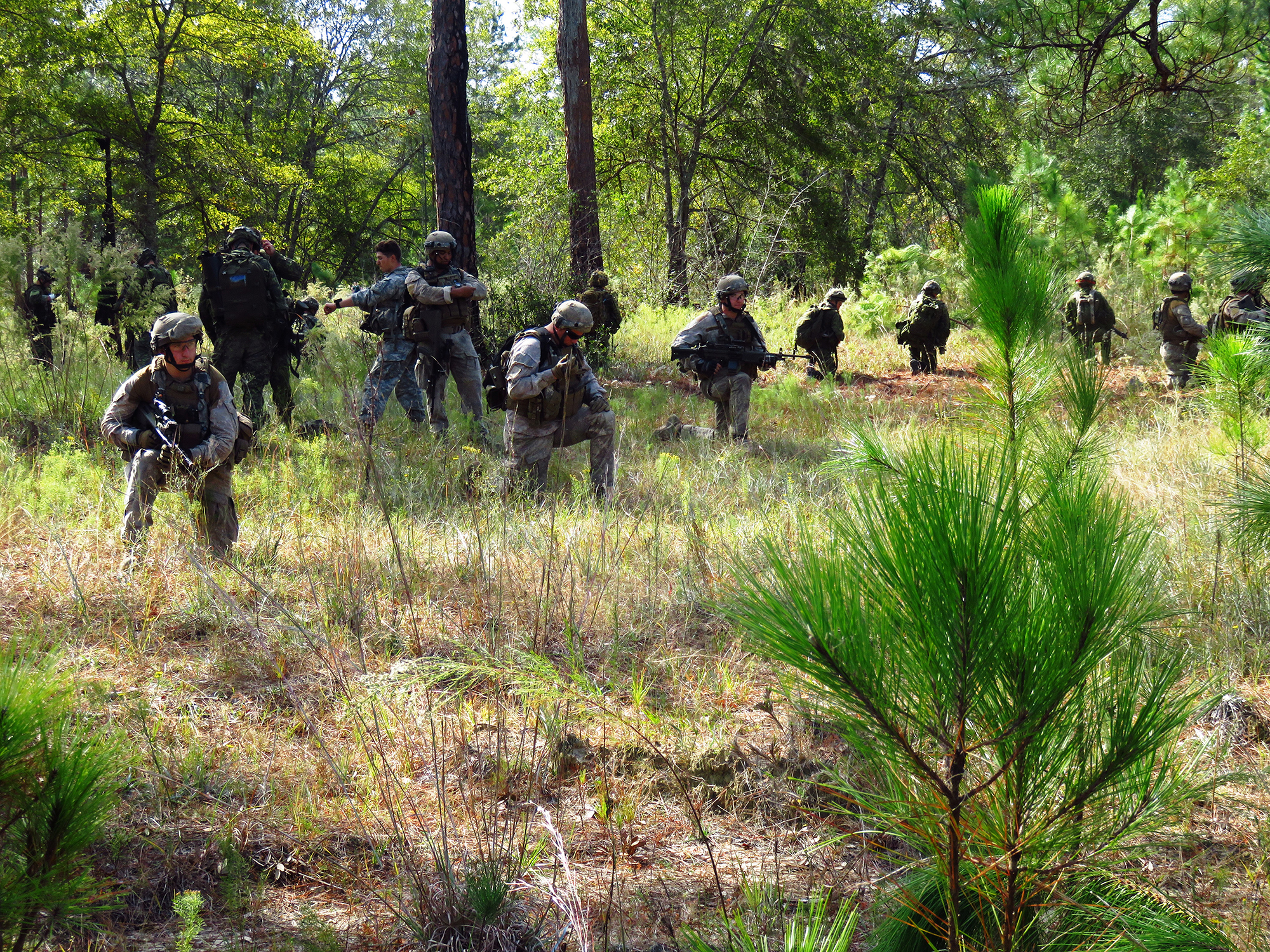 A mixed platoon of Canadian and New Zealand soldiers participating in the U.S. Joint Staff-led Exercise BOLD QUEST, a demonstration and assessment that took place from October 24 to November 3, 2016 in Fort Stewart, Georgia.