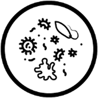 Icon of Pathogens and Microbes
