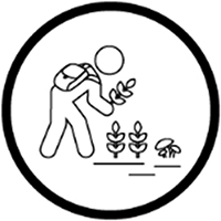 Icon of Gathering Terrestrial Plants