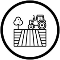 Icône de Conversion des forêts due à l’expansion de l’agriculture