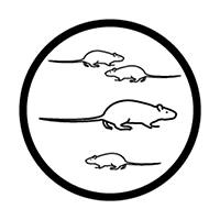Icon of Invasive Non-native Plants and Animals