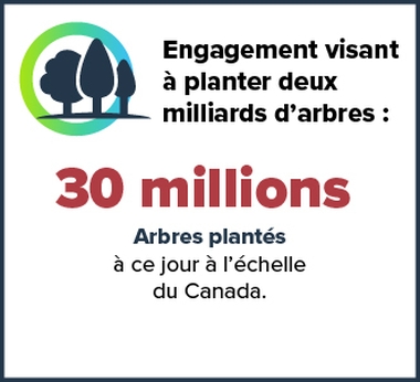 Engagement visant à planter deux milliards d'arbres. Description textuelle ci-dessous 