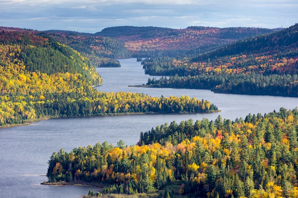 An image of a river with forests on either side, trees with yellow leaves sprinkled in with evergreens.
