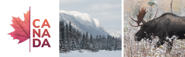 Montagne enneigée à côté d'une moitié de feuille d'érable et, à droite, un orignal dans un champ. Texte : Canada