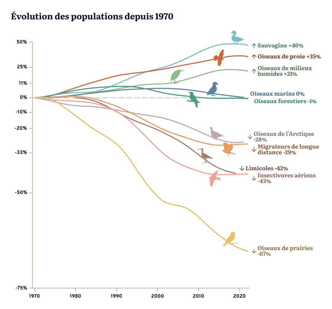 Un diagramme spaghetti montrant l'évolution de la population d'oiseaux du Canada de 1970 à 2022.