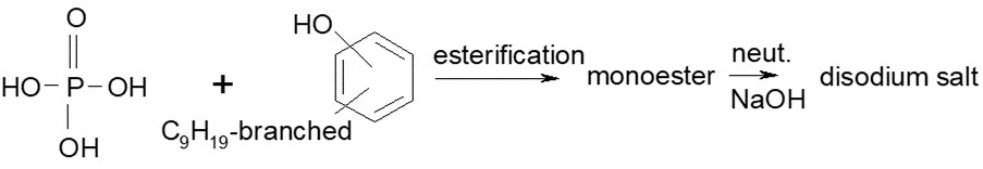 Esterification of OP(=O)(O)O and C=1C(OH)=CC=C([C9H19-branched])C1 where OH and ([C9H19-branched]) specificity is unknown, [Na]O neutralized