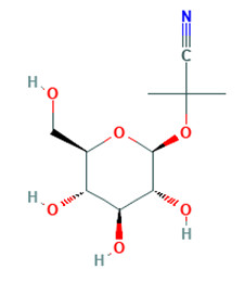 CC(C)(O[C@@H]1O[C@H](CO)[C@@H](O)[C@H](O)[C@H]1O)C#N