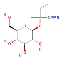 CC[C@@](C)(O[C@@H]1O[C@H](CO)[C@@H](O)[C@H](O)[C@H]1O)C#N