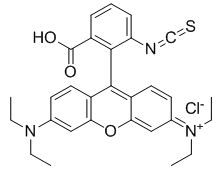 CCN(C1=CC2=C(C(C3=C(C(O)=O)C=CC=C3N=C=S)=C4C=C/C(C=C4O2)=[N+](CC)\CC)C=C1)CC.[Cl-]