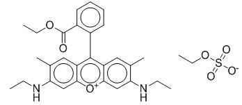 CCOC(c1ccccc1c2c(cc(C)c(NCC)c3)c3[o+]c4c2cc(C)c(NCC)c4)=O.O=S([O-])(OCC)=O