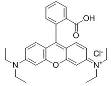 CCN(C1=CC2=C(C(C3=CC=CC=C3C(O)=O)=C4C=C/C(C=C4O2)=[N+](CC)\CC)C=C1)CC.[Cl-]
