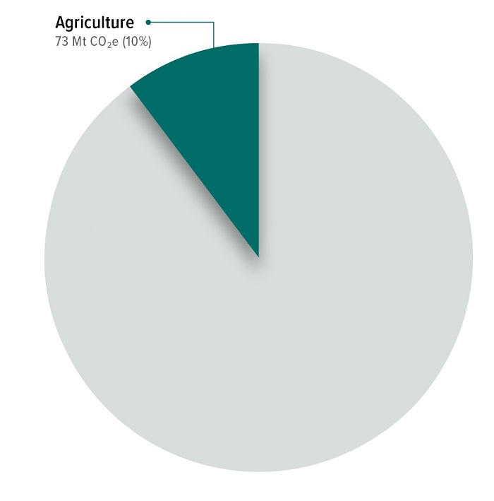 Canada's agriculture emissions (2019)