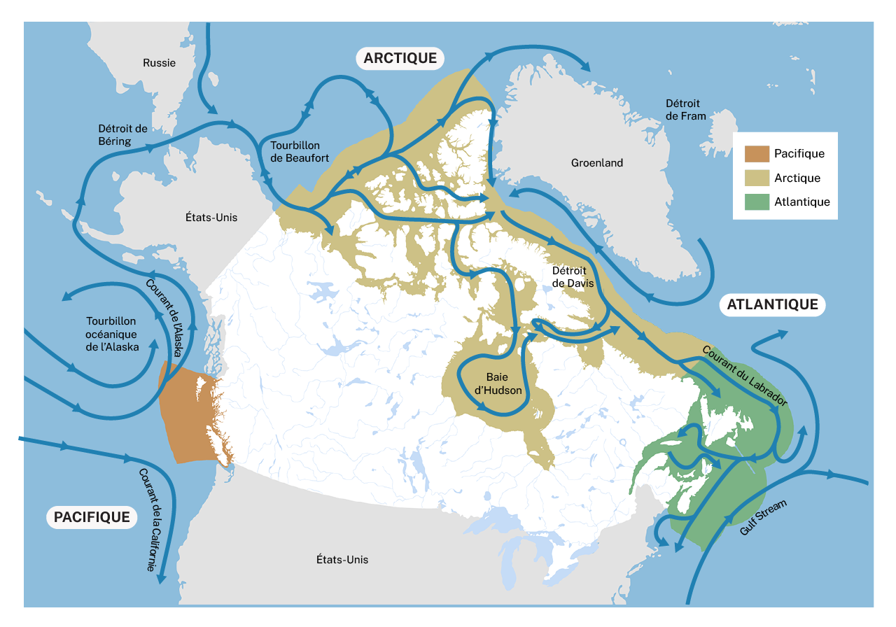Carte montrant la circulation des couches supérieures des océans