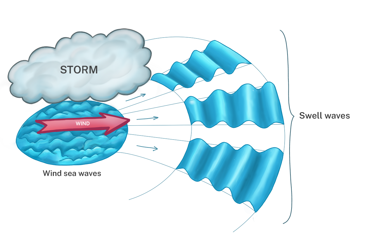Schematic of the generation of ocean waves and swell