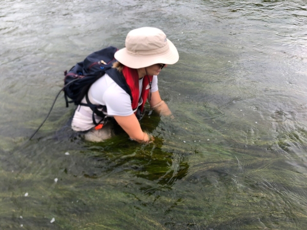 Bridgett conducting fieldwork in the Grand River.