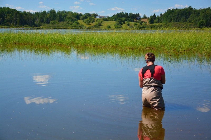 Brittany is performing water quality monitoring during a wetland assessment at Memramcook Lake in New Brunswick.