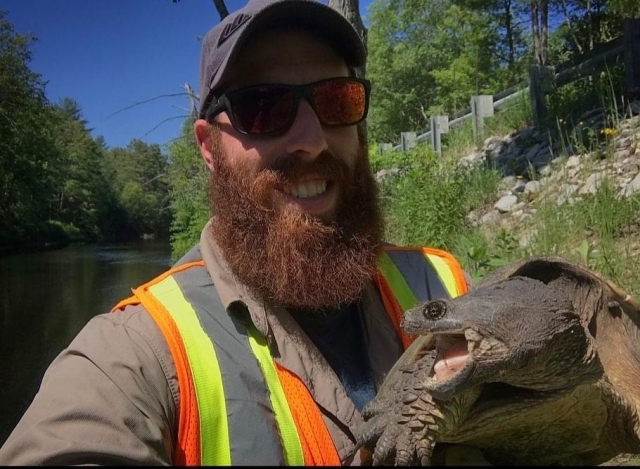 Anthony handles a snapping turtle under START permits during mark-recapture study.
