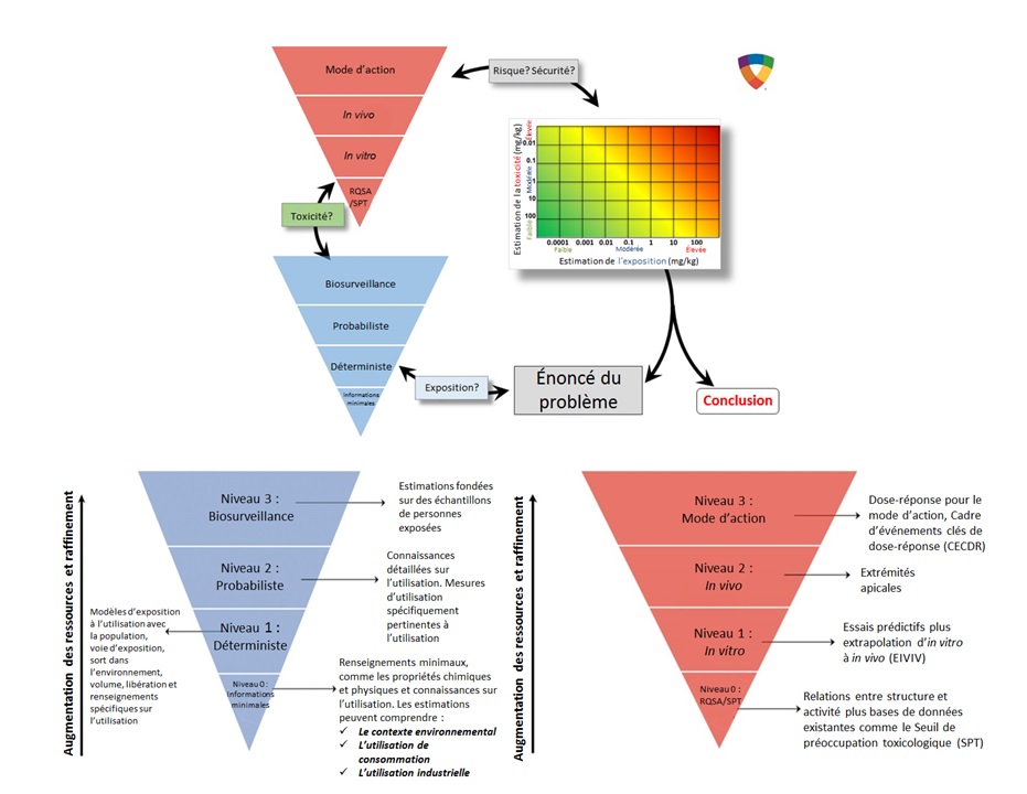 Cadre conceptuel général de l'approche RISK21 (voir description longue ci-dessous)