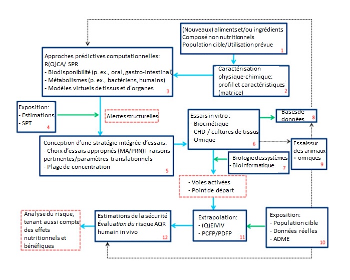 Feuille de route d'évaluation de l'innocuité d'aliments et d'ingrédients (voir description longue ci-dessous)
