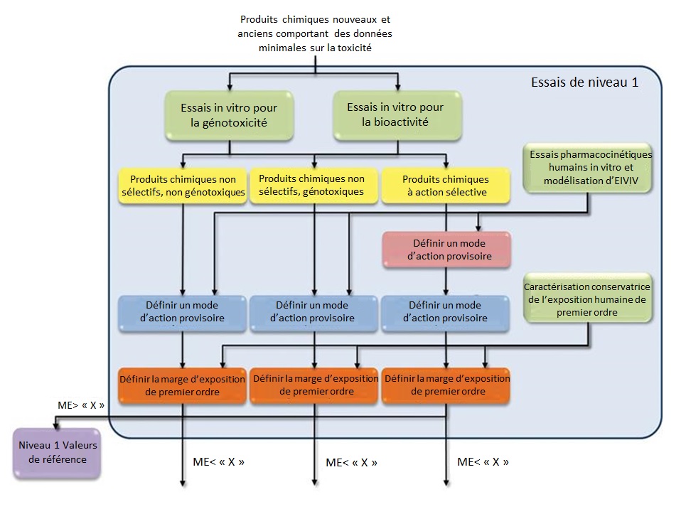 Organigramme présentant le niveau 1 du cadre proposé (voir description longue ci-dessous)