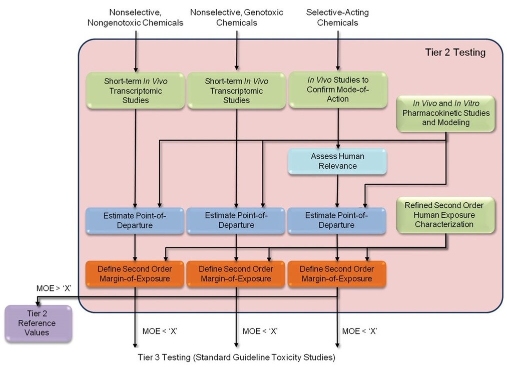 Flowchart outlining Tier 2 in the proposed framework (See long description below)