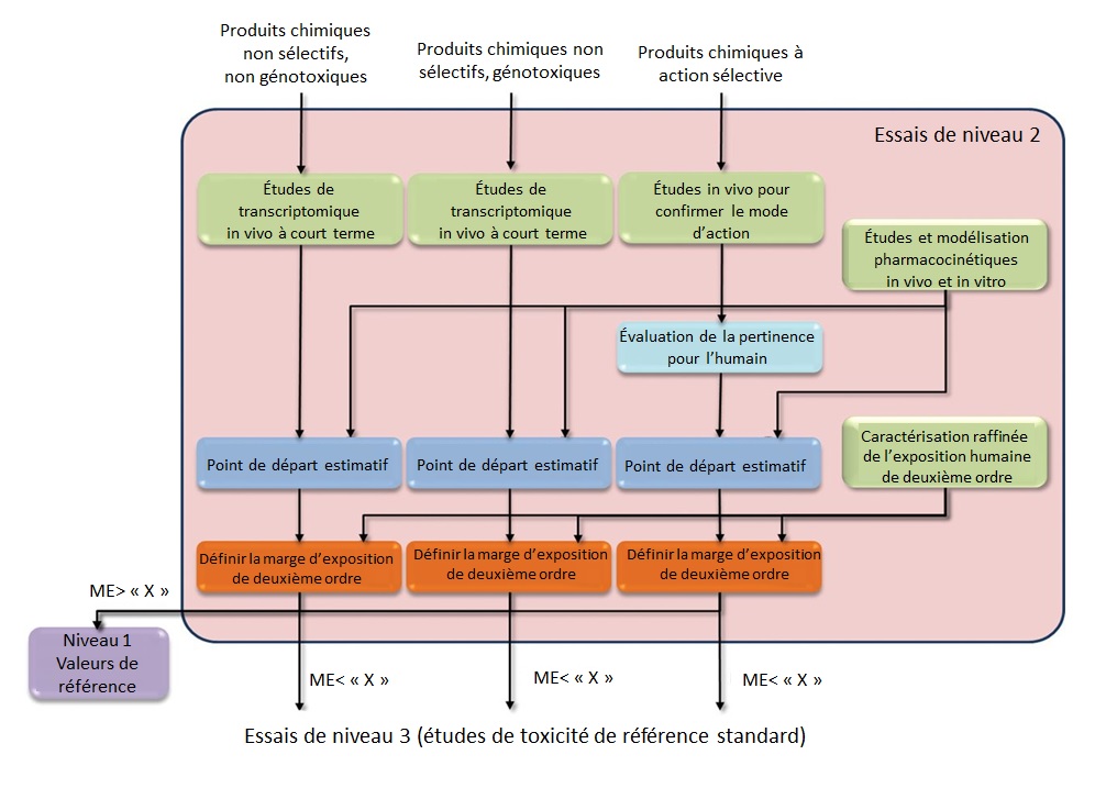 Organigramme présentant le niveau 2 du cadre proposé (voir description longue ci-dessous)