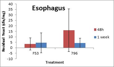 Clearance of yeast cells from the esophagus of BALB/c mice after exposure to S. cerevisiae F53 and S. cerevisiae var. boulardii MYA-79 (see long description below)