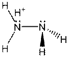Chemical structure 302-01-02 (hydrazinium ion)
