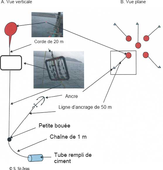 Figure 9-15 : Schéma  d’assemblage du système modulaire de mésocosmes