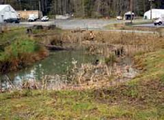 Engineered wetland in the firefighter-training area